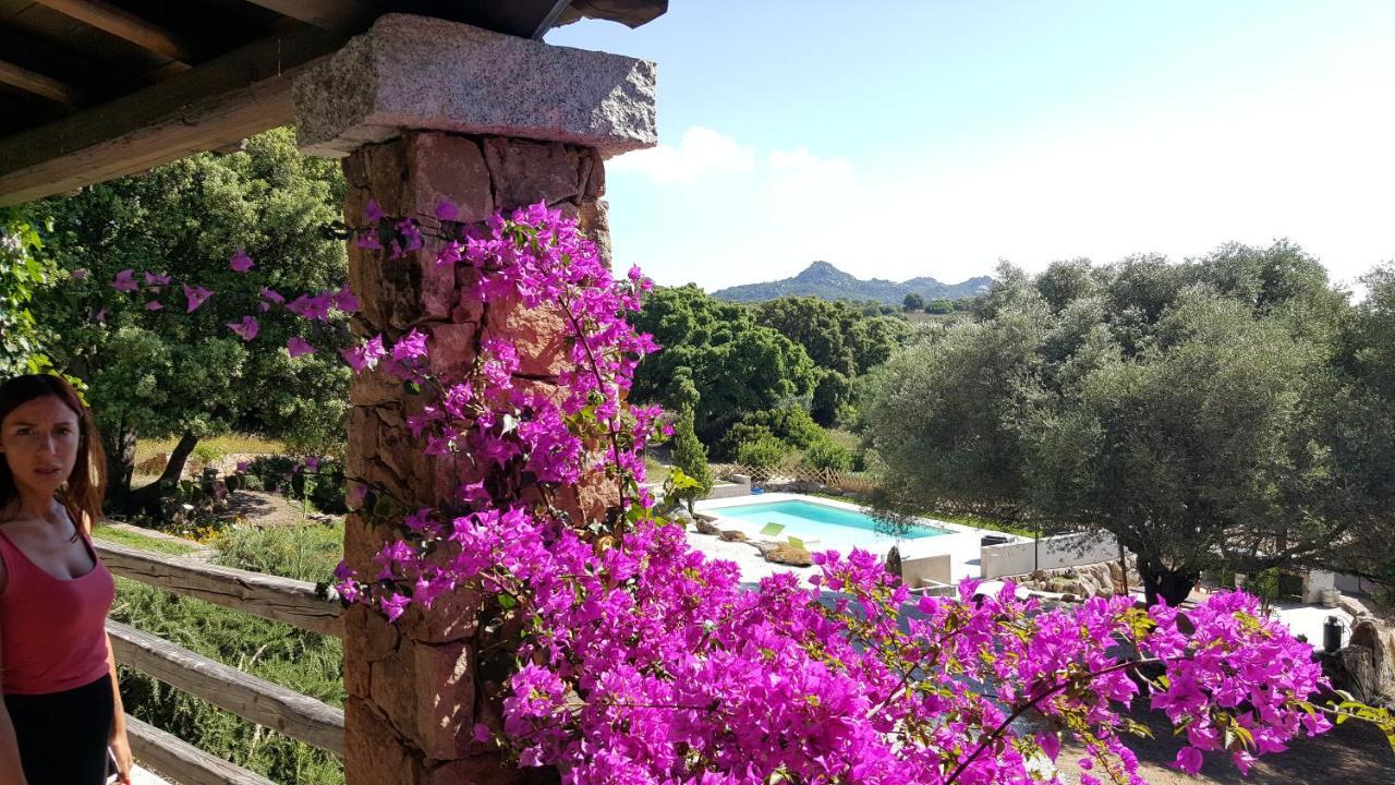 Agriturismo Desole Monti Exterior foto