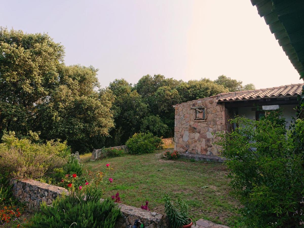 Agriturismo Desole Monti Exterior foto